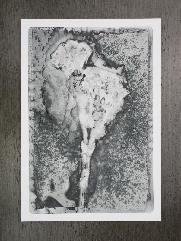 thermal-postcard51.JPG