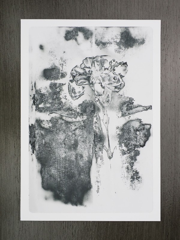 thermal-postcard53.JPG