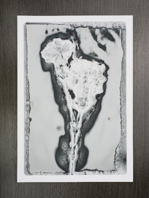 thermal-postcard54.JPG