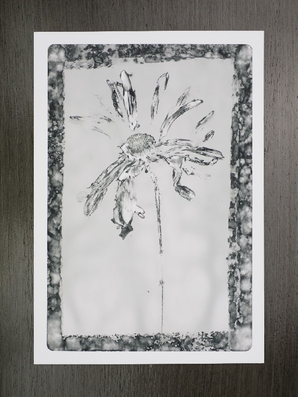 thermal-postcard57.JPG