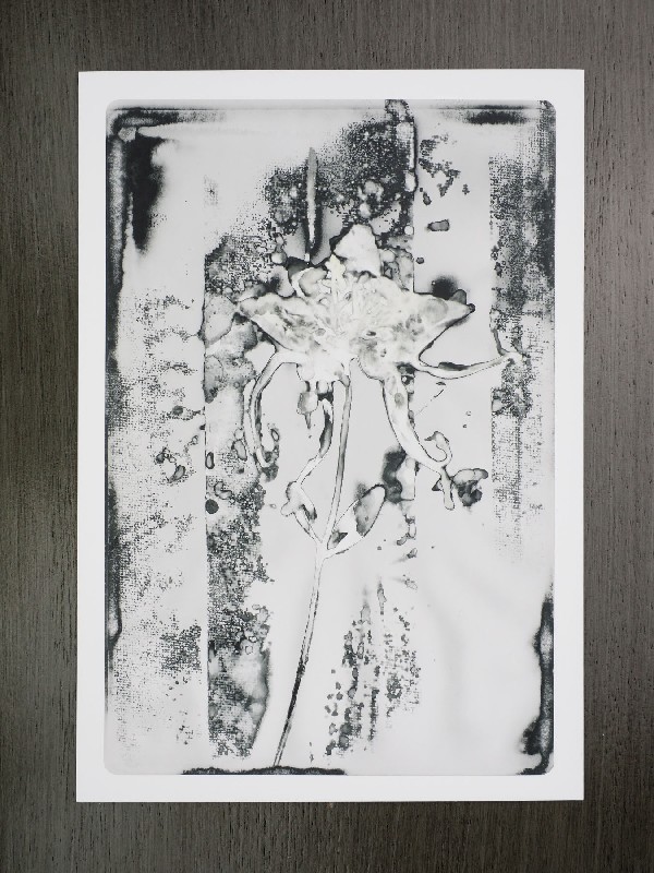 thermal-postcard58.JPG