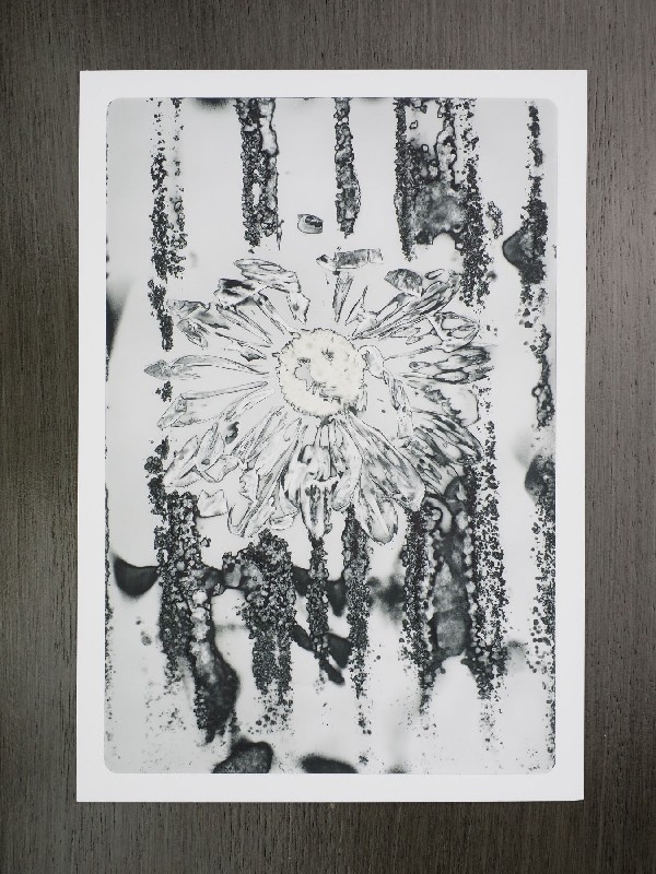 thermal-postcard59.JPG