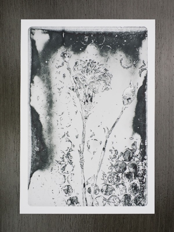 thermal-postcard65.JPG