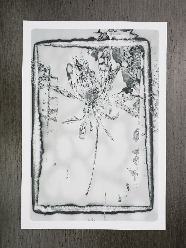 thermal-postcard66.JPG