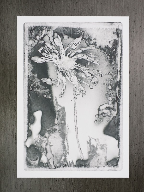 thermal-postcard68.JPG