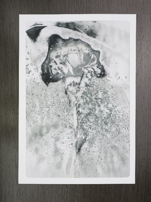 thermal-postcard7.JPG