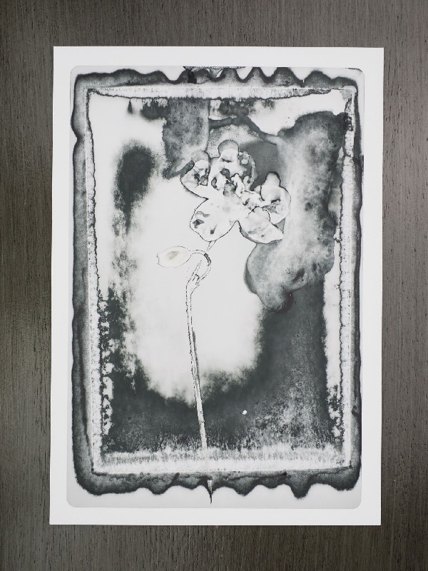 thermal-postcard70.JPG