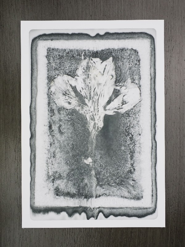 thermal-postcard74.JPG