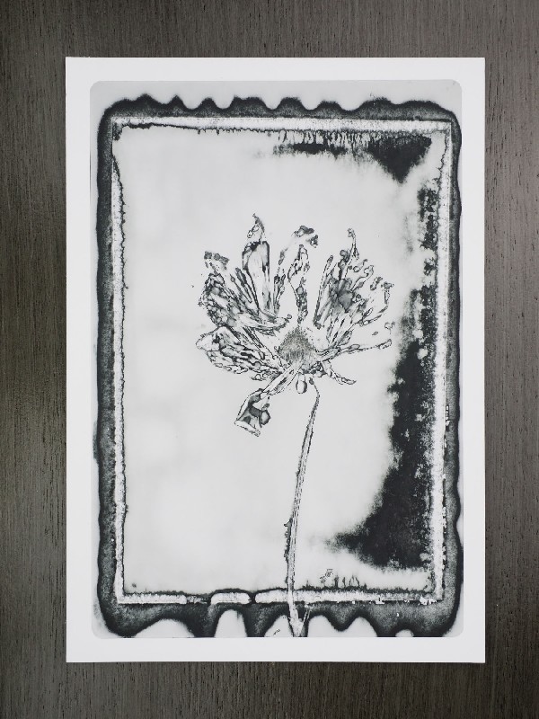 thermal-postcard78.JPG