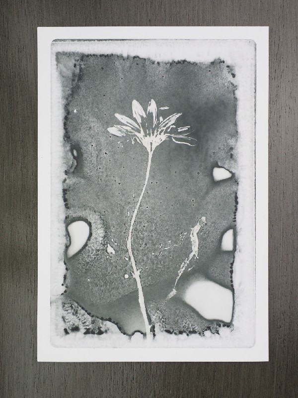 thermal-postcard8.JPG