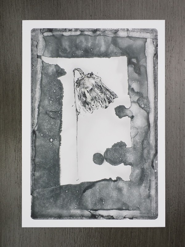 thermal-postcard80.JPG