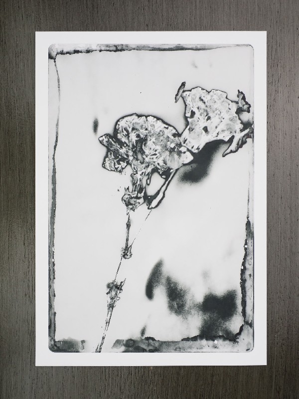 thermal-postcard81.JPG