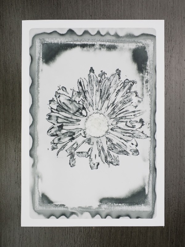 thermal-postcard83.JPG