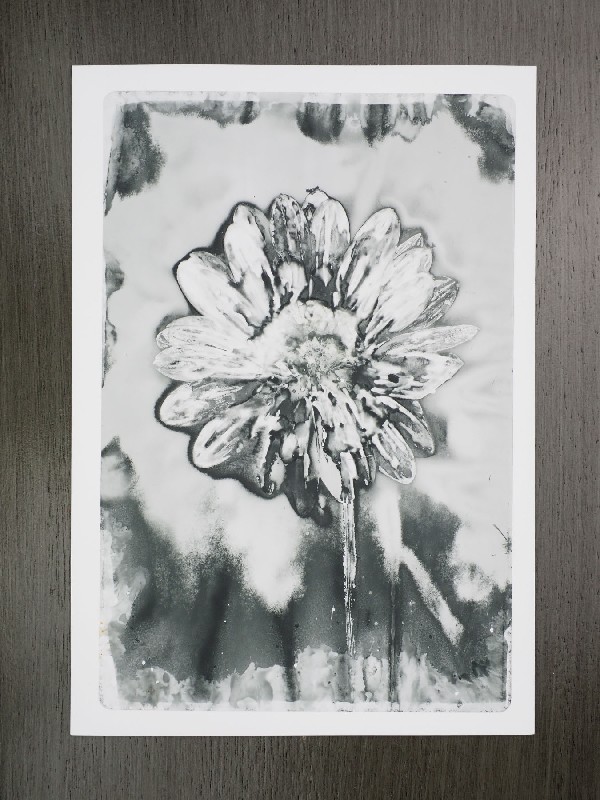 thermal-postcard85.JPG