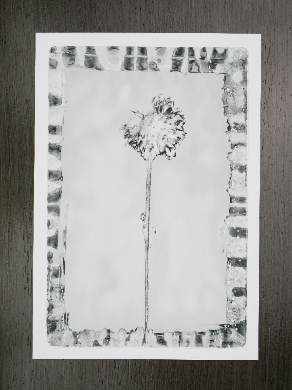 thermal-postcard87.JPG