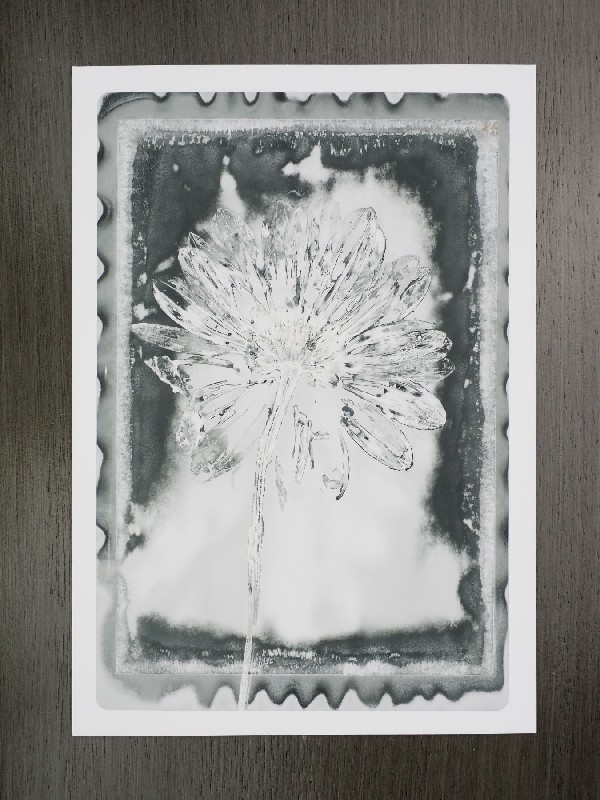 thermal-postcard88.JPG