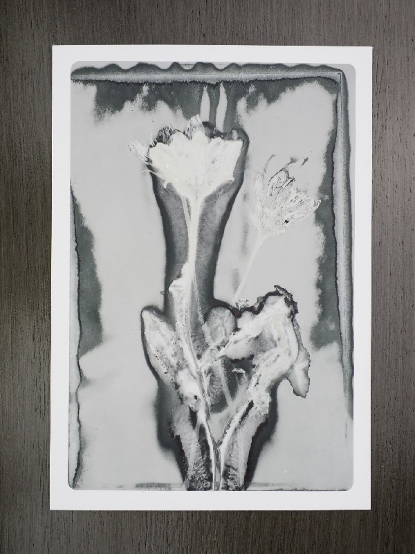thermal-postcard89.JPG