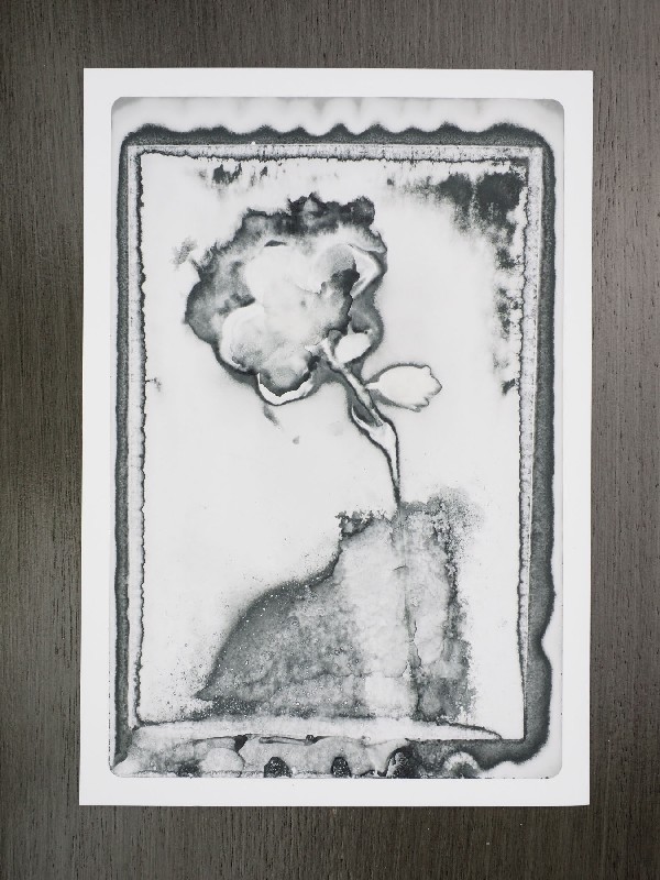 thermal-postcard92.JPG
