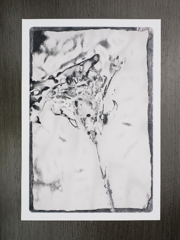 thermal-postcard93.JPG
