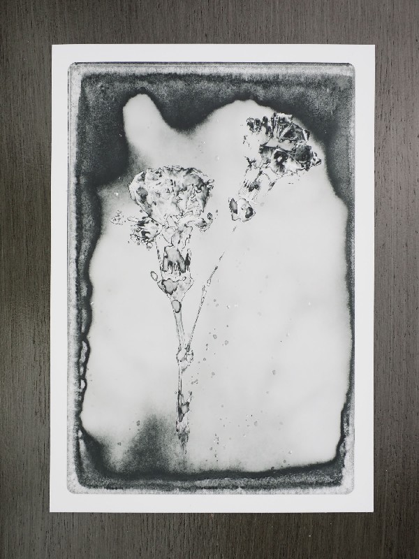 thermal-postcard94.JPG