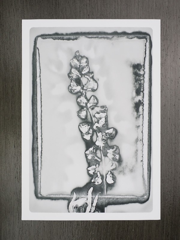 thermal-postcard95.JPG