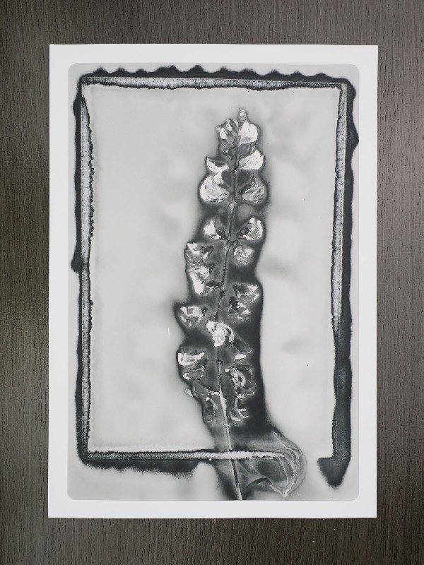 thermal-postcard96.JPG