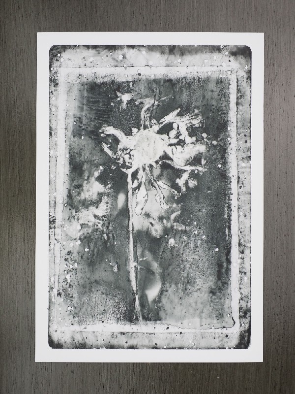 thermal-postcard97.JPG