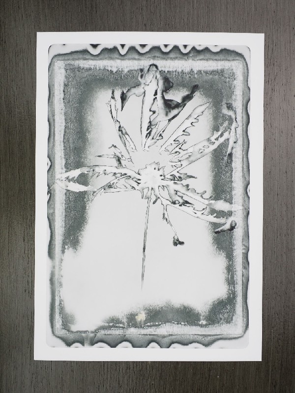 thermal-postcard99.JPG