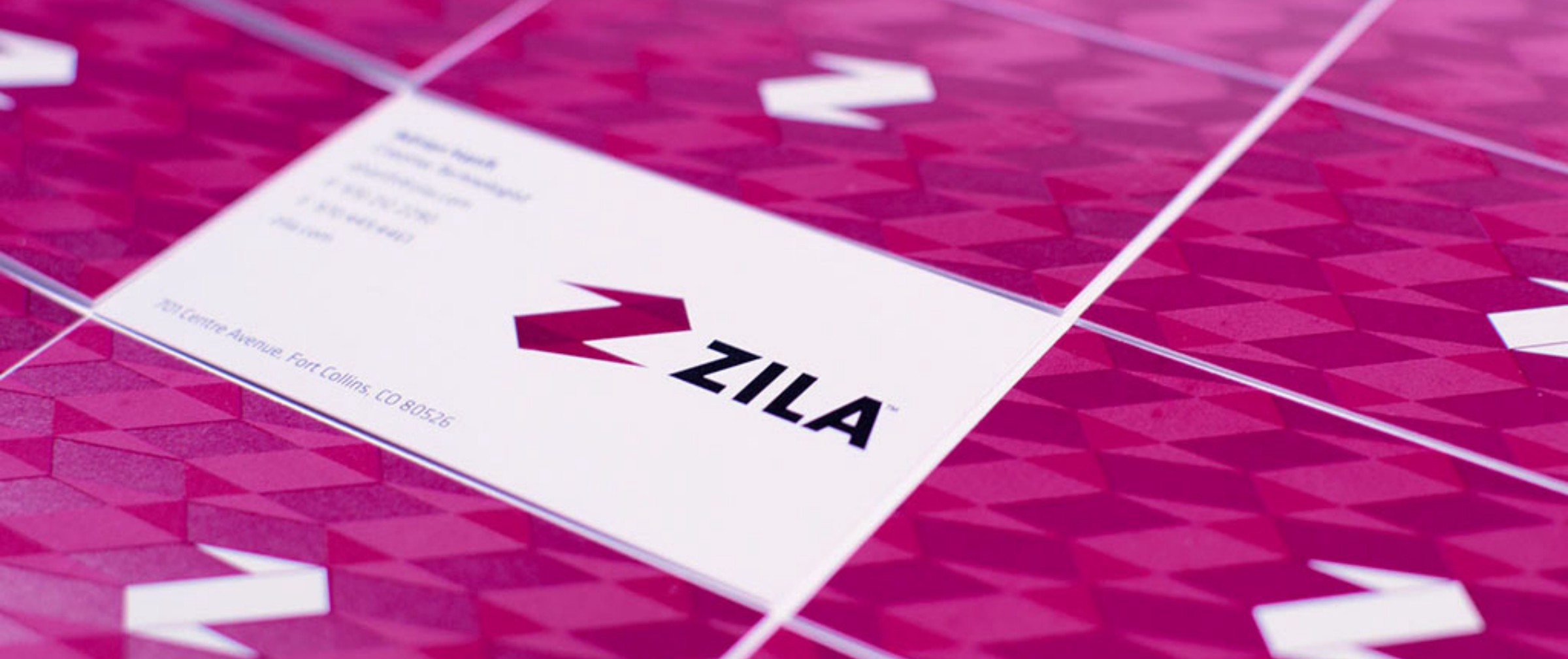 Zila Corporate Identity by Adrian Hanft