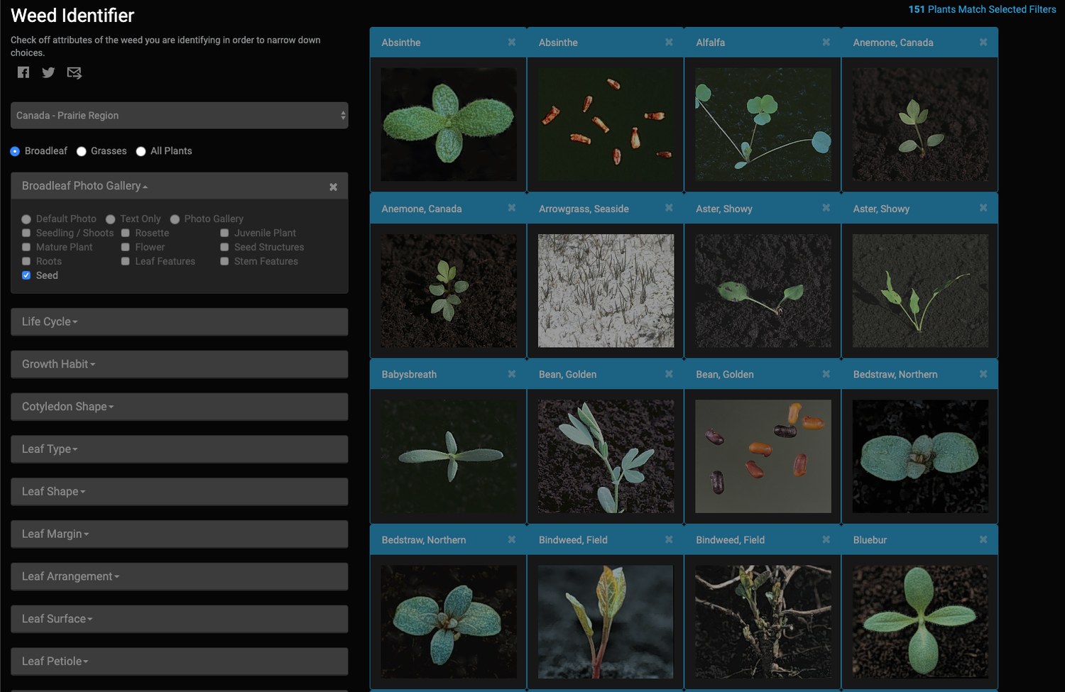 A dark-themed “Weed Identifier” screen showing a dense grid of professional weed photographs alongside a sidebar of attribute filters — broadleaf vs. grass, life cycle, growth habit, leaf type, margin, and arrangement.