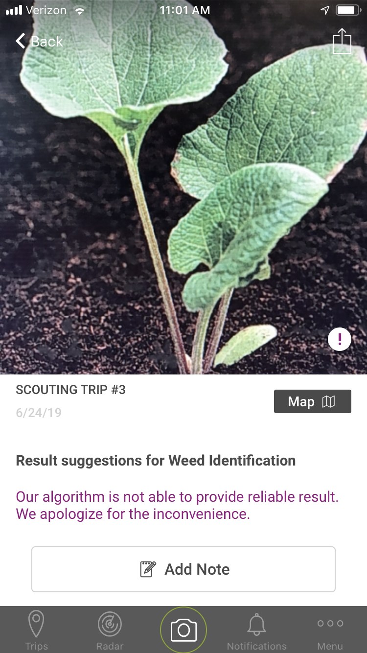 An iOS screen from a field scouting trip: a photo of a young weed in soil, under the heading “Result suggestions for Weed Identification,” with the honest message “Our algorithm is not able to provide reliable result. We apologize for the inconvenience,” and an “Add Note” option.