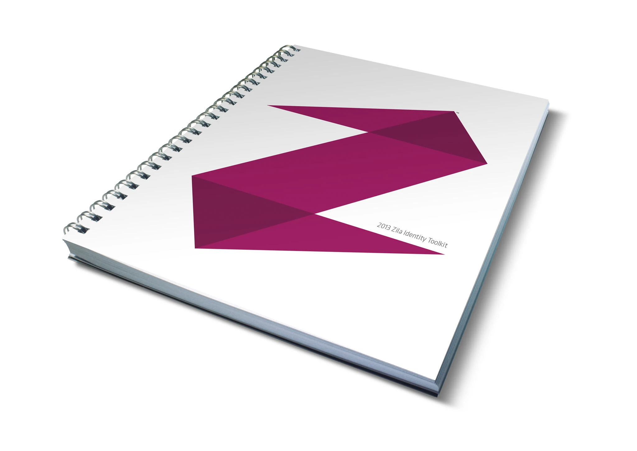 The 2013 Zila Identity Toolkit — a spiral-bound brand guidelines book on the cover of which the angular Z is enlarged into a graphic pattern.